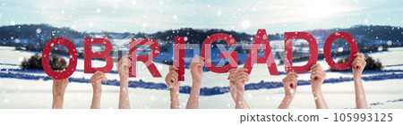 People Hands Building Word Obrigado Means Thank You, Winter Background 105993125