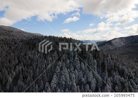 Winter landscape with spruse trees of snow covered forest in cold mountains. Winter landscape with spruse trees of snow covered forest in cold mountains. 105993475