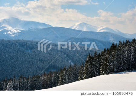 Winter landscape with high mountain hills covered with evergreen pine forest after heavy snowfall on cold wintry day. Winter landscape with high mountain hills covered with evergreen pine forest after heavy snowfall on cold wintry day. 105993476