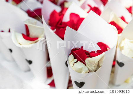 White and red rose petals White and red rose petals 105993615