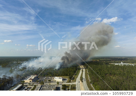 View from above of lagre wildfire burning severely in North Port city, Florida. Hot flames in forest with toxic smoke polluting atmosphere View from above of lagre wildfire burning severely in North Port city, Florida. Hot flames in forest with toxic smoke polluting atmosphere 105993729