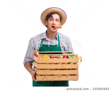 Young farmer with fresh produce isolated on white background Young farmer with fresh produce isolated on white background 105993883