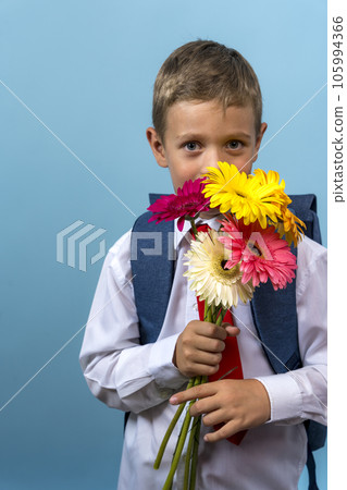 first grader with a backpack holds a bouquet of flowers first grader with a backpack holds a bouquet of flowers 105994366
