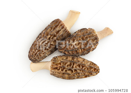 raw morel mushroom isolated on white background with full depth of field. Top view. Flat lay. 105994728