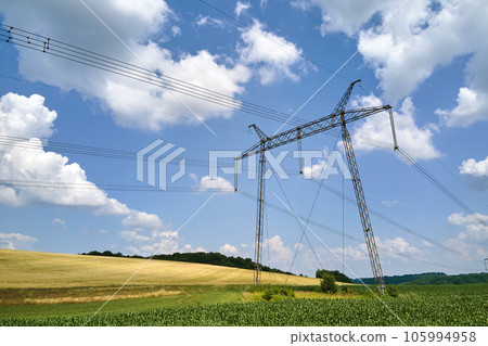 High voltage tower with electric power lines between green agricultural fields. Transfer of electricity concept 105994958
