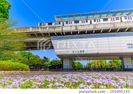 東京足立區，美麗的花朵盛開的捨人公園站 105995143