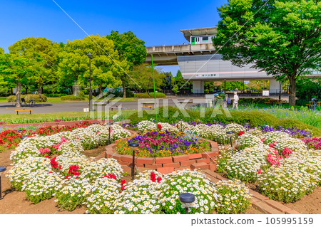 Adachi Ward, Tokyo, Tonerikoen Station where beautiful flowers bloom 105995159