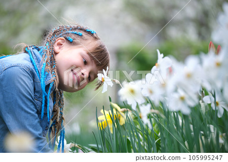 Happy child girl playing in summer garden enjoying sweet scent of white narcissus flowers on sunny day 105995247