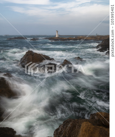 Morning at Shirahama Port Lighthouse, Minamiboso City, Chiba Prefecture 105995401