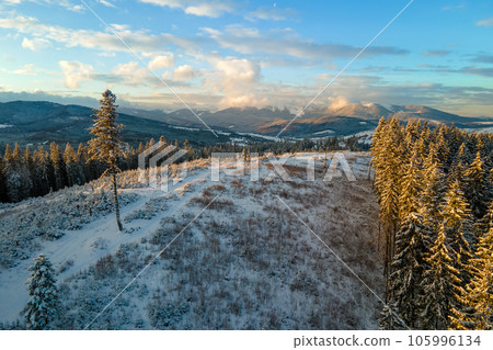 Aerial winter landscape with spruse trees of snow covered forest in cold mountains in the evening. Aerial winter landscape with spruse trees of snow covered forest in cold mountains in the evening. 105996134