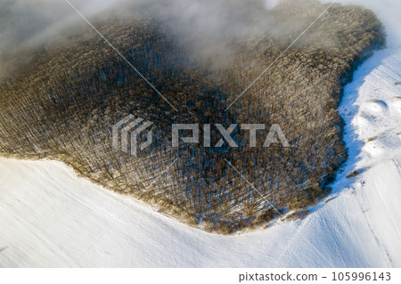 Aerial view of winter landscape with dark bare forest trees covered with dense fog. Aerial view of winter landscape with dark bare forest trees covered with dense fog. 105996143