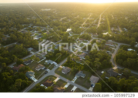 Aerial view of suburban landscape with private homes between green palm trees in Florida quiet residential area 105997129