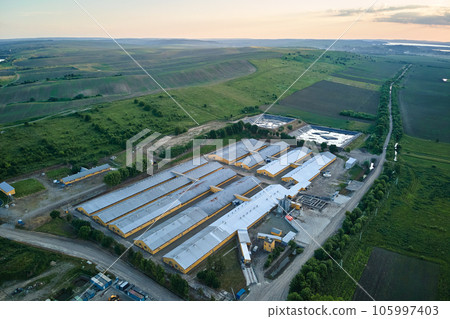 Aerial view of cattle farm buildings between green farmlands Aerial view of cattle farm buildings between green farmlands 105997403