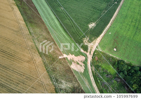 Aerial landscape view of green and yellow cultivated agricultural fields with growing crops on bright summer day Aerial landscape view of green and yellow cultivated agricultural fields with growing crops on bright summer day 105997699