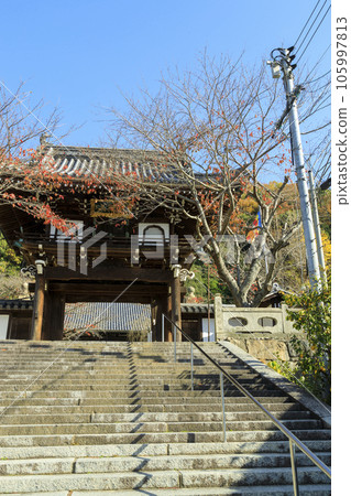 秋天的竹原街景保護區、青蓮寺寺門 秋天的竹原街景保護區、青蓮寺寺門 105997813