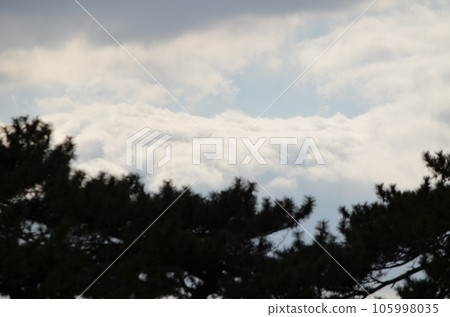 森林和天空的圖片 森林和天空的圖片 105998035