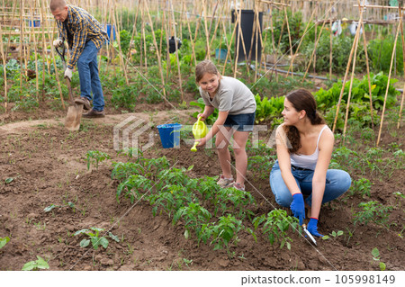 Woman with little girl watering plants in garden closeup Woman with little girl watering plants in garden closeup 105998149