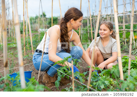 Mother and daughter working in garden Mother and daughter working in garden 105998192