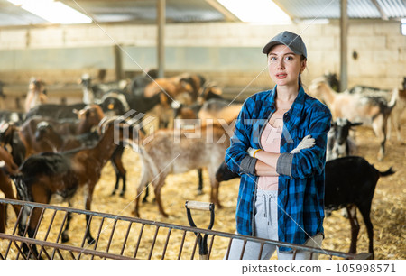 Portrait of young European female farmer in plaid shirt standing with tool while working on goat farm 105998571