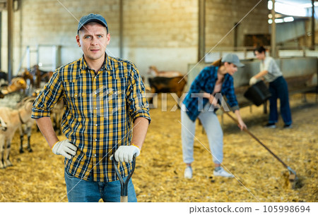Confident positive farmer breeding dairy goats posing in shed Confident positive farmer breeding dairy goats posing in shed 105998694