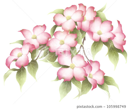 Flower tree Flower tree 105998749