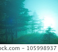 神秘的霧夜森林 105998937