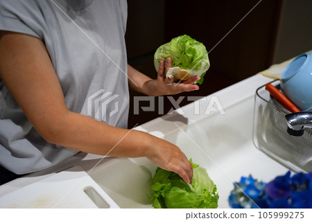 lettuce and housewife lettuce and housewife 105999275