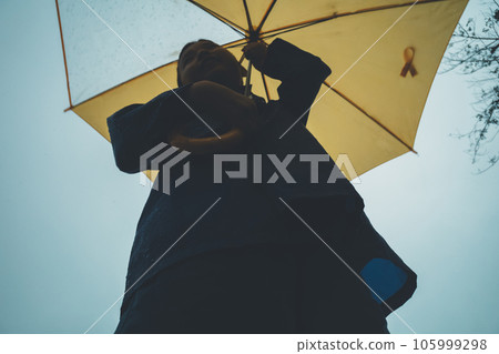 rain, rainy, umbrella 105999298