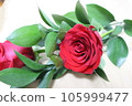 A red rose 105999477