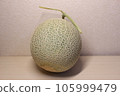 meshed melon 105999479