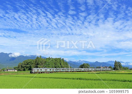 Morning of the summer Azumino ward of the Ooi line 105999575