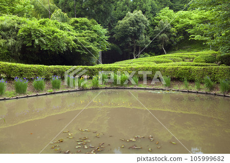 山中城跡田尻池 105999682