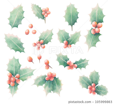 Watercolor style holly illustration material set without main line 105999863