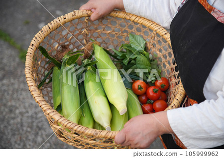 Women with harvested vegetables 105999962