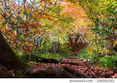 Autumn Nekomagatake/Oguninuma trekking (Happodai starting point to summit of Mt. Nekomagatake) Autumn Nekomagatake/Oguninuma trekking (Happodai starting point to summit of Mt. Nekomagatake) 106000262