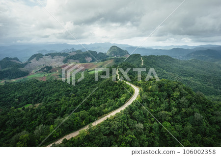 road in green forest after rain 106002358