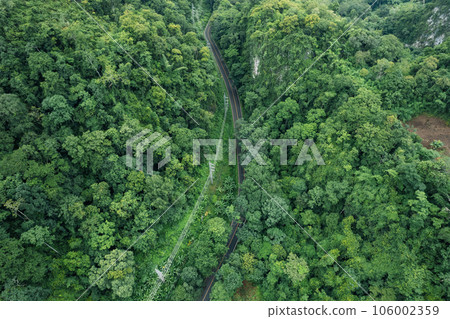 road in green forest after rain 106002359
