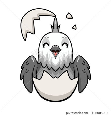 Cute whiteface cockatiel bird cartoon inside from egg Cute whiteface cockatiel bird cartoon inside from egg 106003095