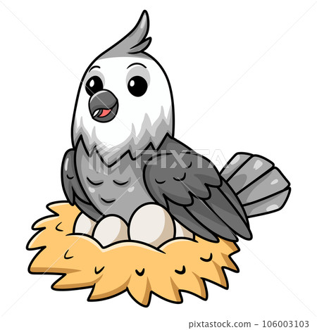 Cute whiteface cockatiel bird cartoon with eggs in the nest Cute whiteface cockatiel bird cartoon with eggs in the nest 106003103