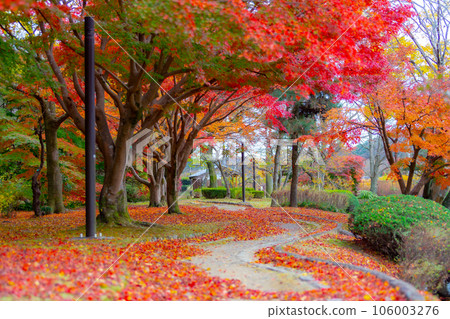 Mito Kairakuen Momijidani Mito Kairakuen Momijidani 106003276