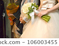 Wedding dress Wedding dress 106003455