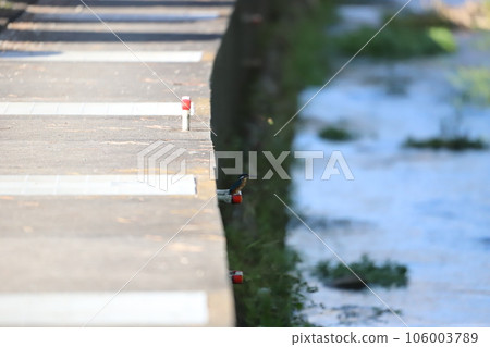 Kingfisher perched on a step 106003789