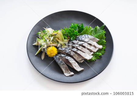 Debris mackerel 106003815