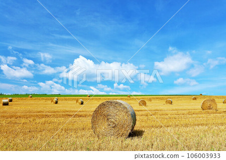 北海道夏天藍天和草捲土地 106003933