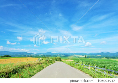 Hokkaido summer blue sky and Biei landscape 106003942