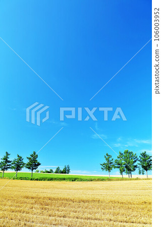 Hokkaido Summer blue sky and Biei scenery (Mild Seven Hills) 106003952