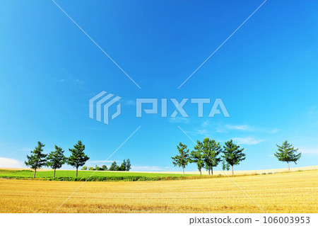 Hokkaido Summer blue sky and Biei scenery (Mild Seven Hills) 106003953