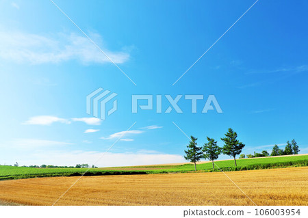 Hokkaido Summer blue sky and Biei scenery (Mild Seven Hills) Hokkaido Summer blue sky and Biei scenery (Mild Seven Hills) 106003954