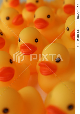 A row of ducks A row of ducks 106004262