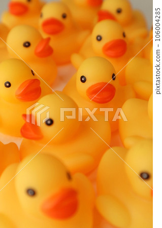 一排鴨子 106004285
